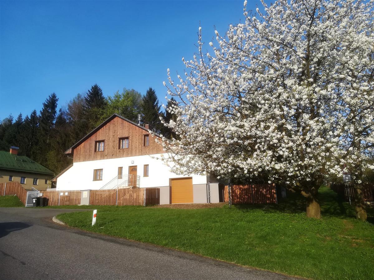 Appartement Haus Tolstejn à Jiřetín pod Jedlovou Extérieur photo